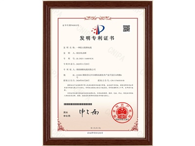 发明专利（1）